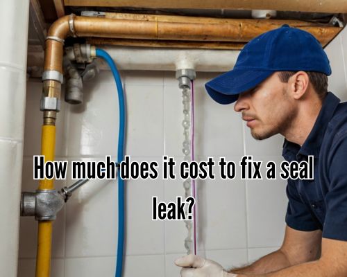 Pipe leak repair in a basement setting.