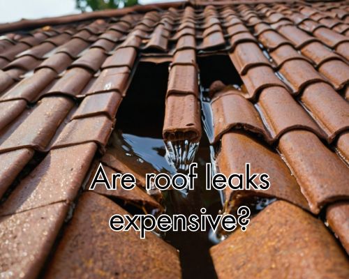 a leak on the roof